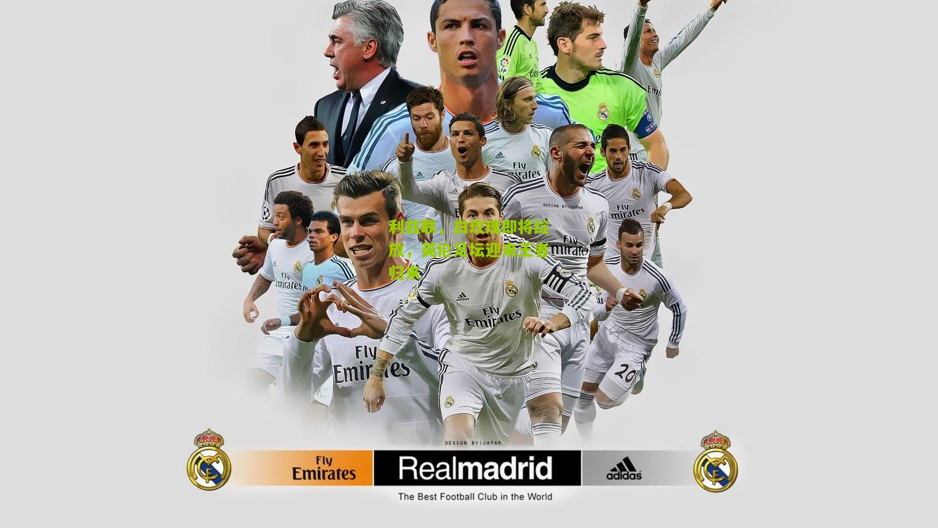 利兹联,白玫瑰即将绽放,英伦足坛迎来王者归来